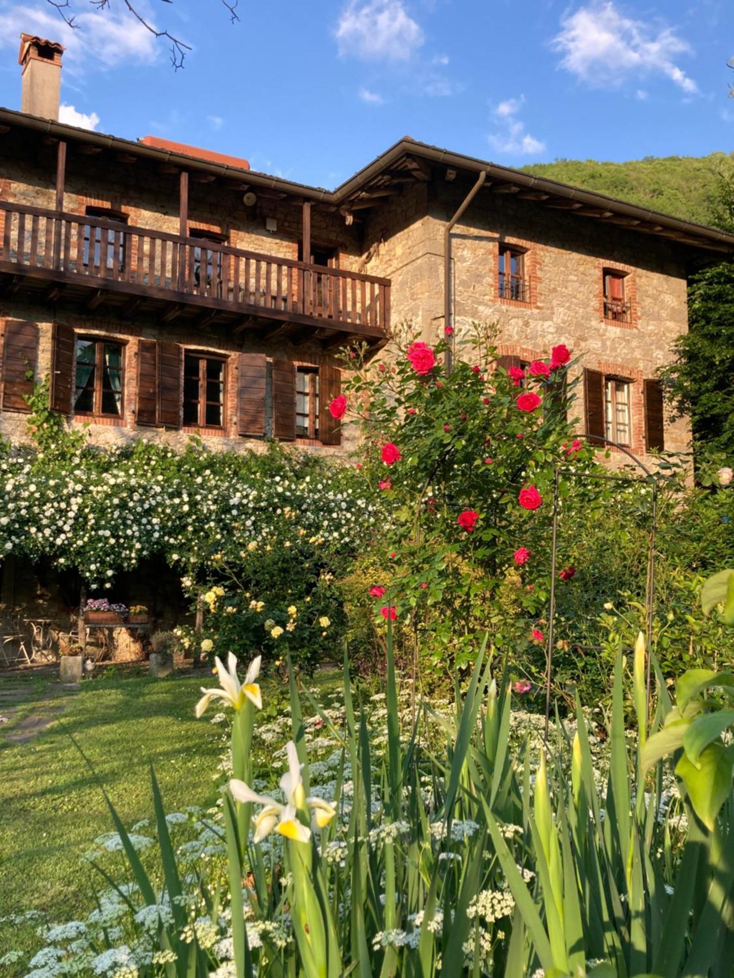 Casa Del Grivo - Alloggio Sole Faedis Ngoại thất bức ảnh